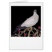 Torresian Imperial Pigeon card (Front)