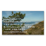 Torrey Pine and California Coastline Landscape Business Card Magnet