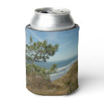 Torrey Pine and California Coastline Landscape Can Cooler