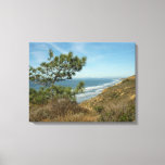 Torrey Pine and California Coastline Landscape Canvas Print