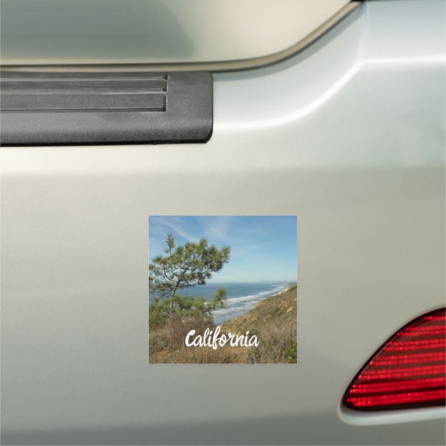 Torrey Pine and California Coastline Landscape Car Magnet (In Situ)