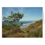 Torrey Pine and California Coastline Landscape Card