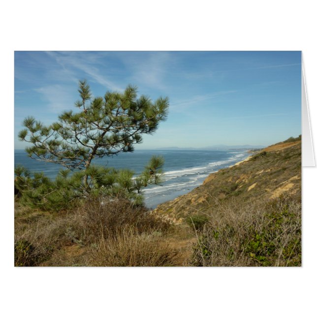 Torrey Pine and California Coastline Landscape Card (Front Horizontal)