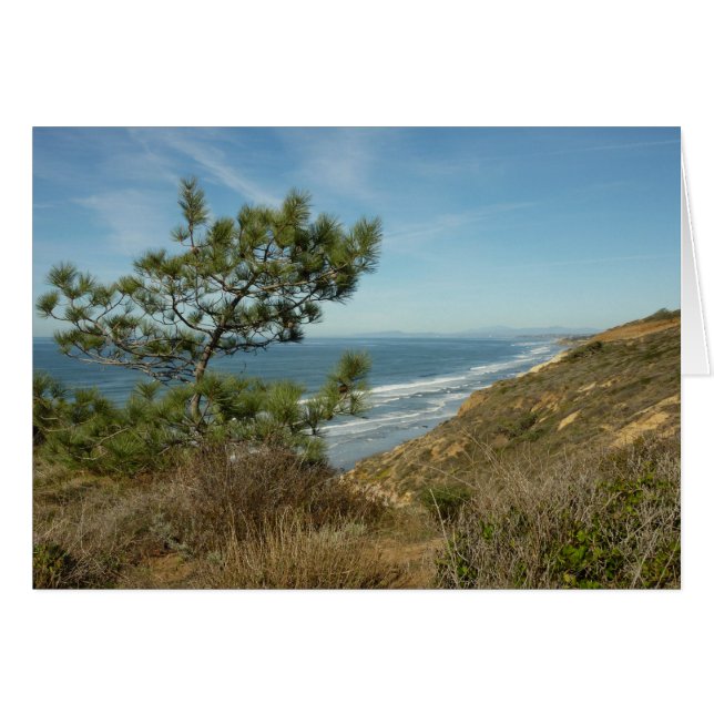 Torrey Pine and California Coastline Landscape Cards (Front Horizontal)