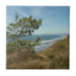 Torrey Pine and California Coastline Landscape Ceramic Tile