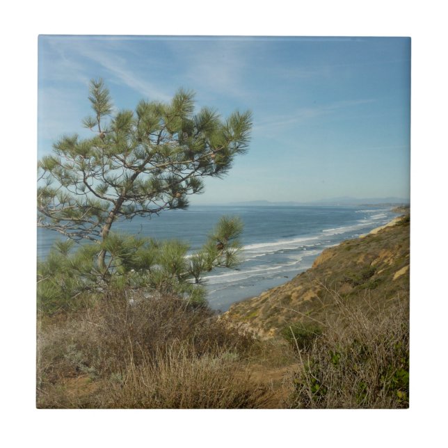 Torrey Pine and California Coastline Landscape Ceramic Tile (Front)