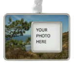 Torrey Pine and California Coastline Landscape Christmas Ornament