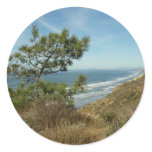 Torrey Pine and California Coastline Landscape Classic Round Sticker