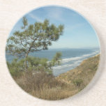 Torrey Pine and California Coastline Landscape Coaster