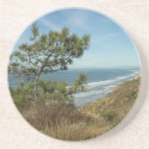 Torrey Pine and California Coastline Landscape Coaster