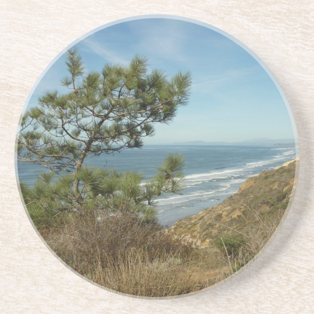 Torrey Pine and California Coastline Landscape Coaster (Front)