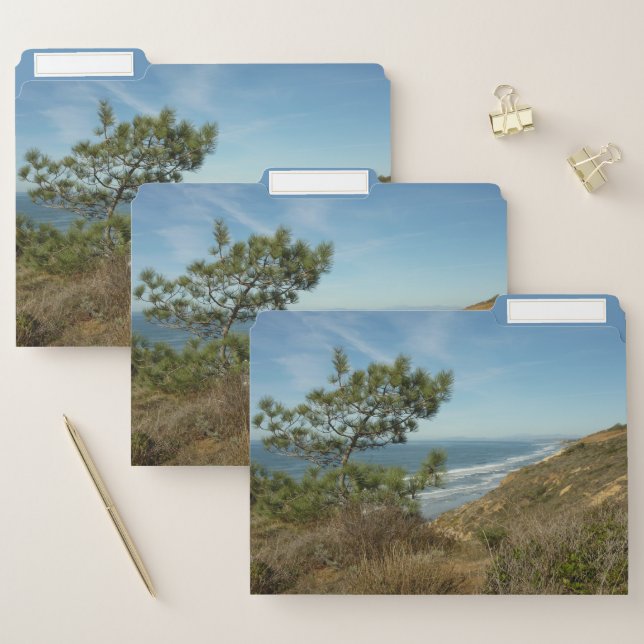 Torrey Pine and California Coastline Landscape File Folder (Set)