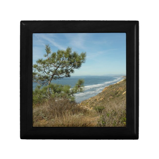 Torrey Pine and California Coastline Landscape Gift Box (Front)