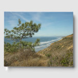 Torrey Pine and California Coastline Landscape Guest Book