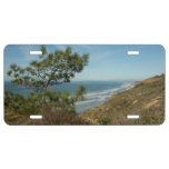 Torrey Pine and California Coastline Landscape License Plate