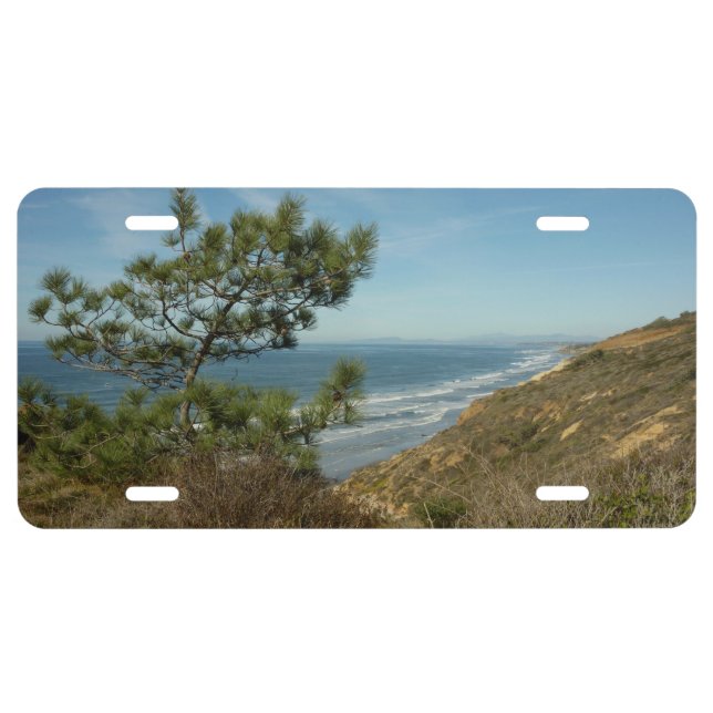 Torrey Pine and California Coastline Landscape License Plate (Front)