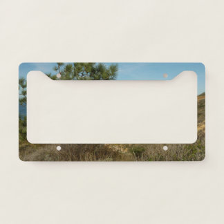 Torrey Pine and California Coastline Landscape License Plate Frame