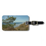 Torrey Pine and California Coastline Landscape Luggage Tag