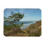 Torrey Pine and California Coastline Landscape Magnet