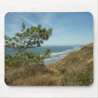 Torrey Pine and California Coastline Landscape Mouse Pad
