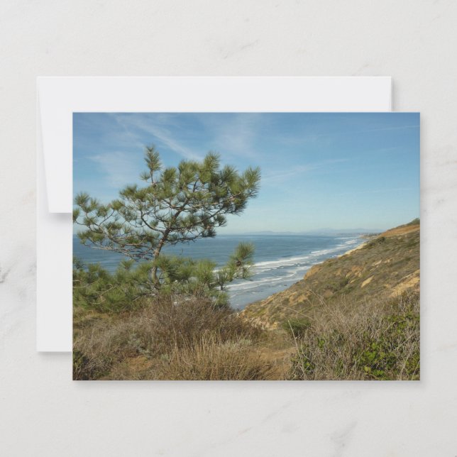 Torrey Pine and California Coastline Landscape Note Card (Front)