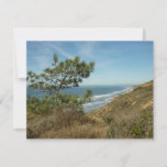 Torrey Pine and California Coastline Landscape Note Card