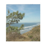 Torrey Pine and California Coastline Landscape Notepad