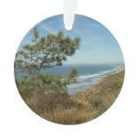 Torrey Pine and California Coastline Landscape Ornament