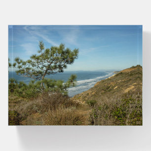 Torrey Pine and California Coastline Landscape Paperweight