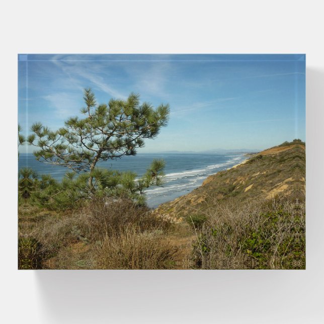 Torrey Pine and California Coastline Landscape Paperweight (Front)