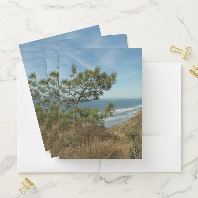 Torrey Pine and California Coastline Landscape Pocket Folder (In Situ)