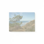Torrey Pine and California Coastline Landscape Post-it Notes