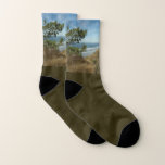 Torrey Pine and California Coastline Landscape Socks