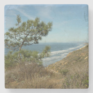 Torrey Pine and California Coastline Landscape Stone Coaster
