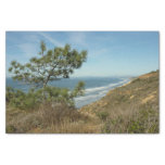 Torrey Pine and California Coastline Landscape Tissue Paper