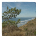 Torrey Pine and California Coastline Landscape Trivet