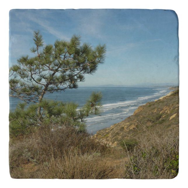 Torrey Pine and California Coastline Landscape Trivet (Front)