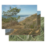 Torrey Pine and California Coastline Landscape Wrapping Paper Sheets