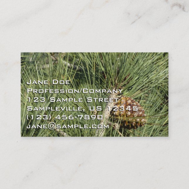 Torrey Pine Closeup California Botanical Business Card (Front)