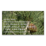 Torrey Pine Closeup California Botanical Business Card Magnet