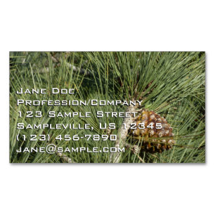 Torrey Pine Closeup California Botanical Business Card Magnet