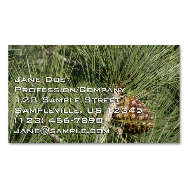 Torrey Pine Closeup California Botanical Business Card Magnet (Front)