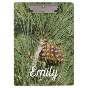 Torrey Pine Closeup California Botanical Clipboard