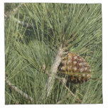 Torrey Pine Closeup California Botanical Cloth Napkin