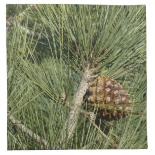 Torrey Pine Closeup California Botanical Cloth Napkin