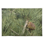 Torrey Pine Closeup California Botanical Cloth Placemat