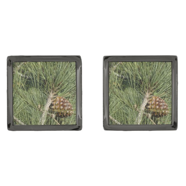 Torrey Pine Closeup California Botanical Cufflinks (Front)