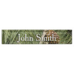 Torrey Pine Closeup California Botanical Desk Name Plate