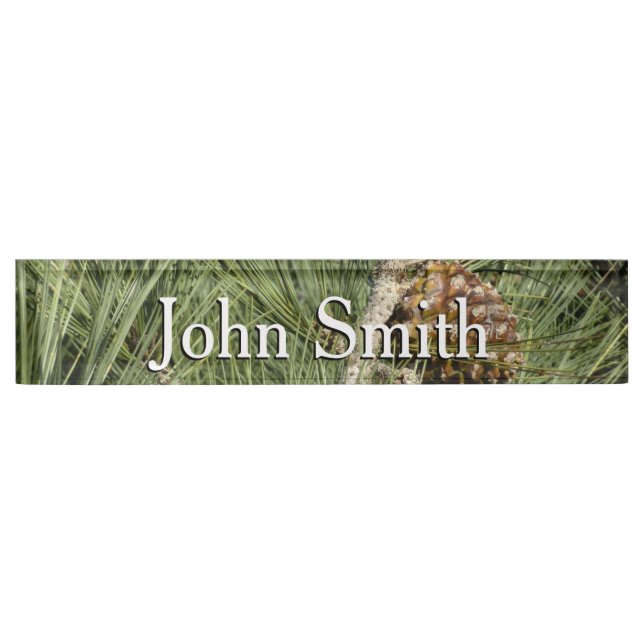 Torrey Pine Closeup California Botanical Desk Name Plate (Front)