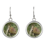 Torrey Pine Closeup California Botanical Earrings